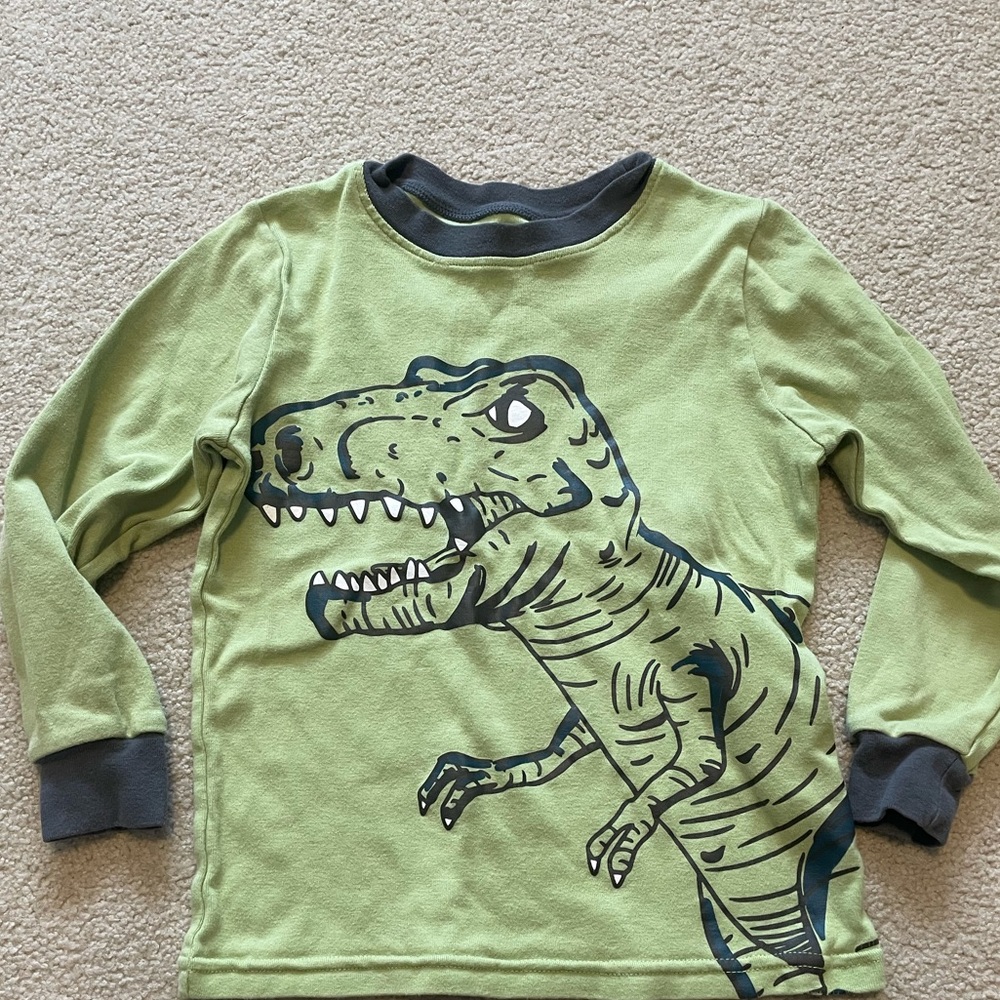 🧸 5/$20 Tyrannosaurus Rex PJs